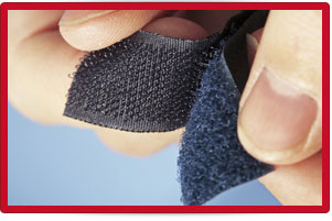 Plants: image 1 0f 4 thumb